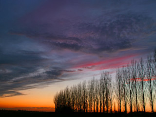 Sunset trees clouds foreground row 2 - stroke free wallpaper for desktop