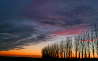 Trees sunset clouds sky background - stroke free wallpaper for desktop