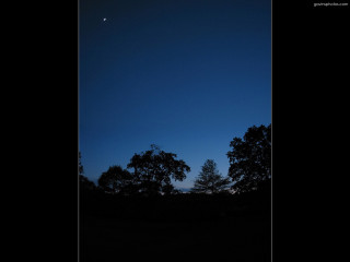 Dark sky trees moon clouds 2 - a dark sky free wallpaper