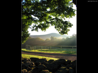 Horse field fence tree mountain - rock and grass free wallpaper