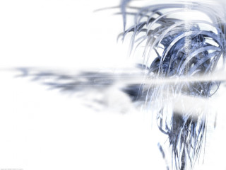 Palm tree water sunlight magic - amano free wallpaper for desktop