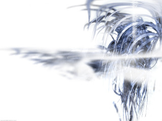 Palm tree white background blurry - ambient occlusion free wallpaper