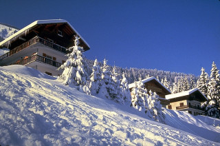 House snowy hill trees blue - a snowy hill free wallpaper