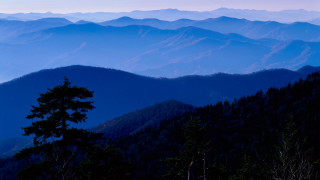 Mountain range tree blue sky 2 - carol sutton free wallpaper