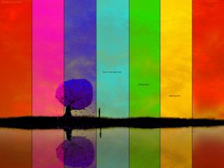 Rainbow colored wall tree reflection - a tree in the middle of it free wallpaper