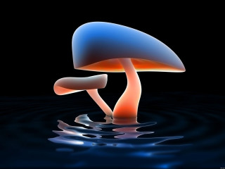 Blue orange mushroom floating water 2 - bioluminescence free wallpaper