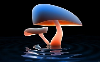Blue orange mushroom floating water 6 - bioluminescence free wallpaper