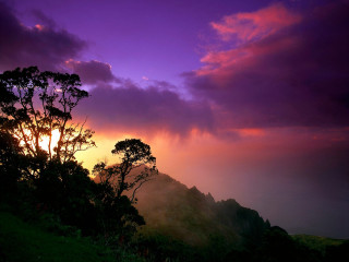 Sunset mountain trees purple sky 2 - arthur quartley free wallpaper