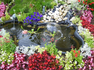 Garden pond birdbath flowers field - a pond free wallpaper