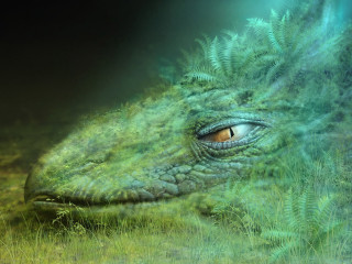 Green dinosaur closeup black background - a digital painting free wallpaper for desktop