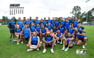 Group blue shirts photo field - blue shirt free wallpaper