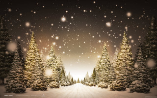 Snowy scene trees snow falling 4 - a snowy scene free wallpaper