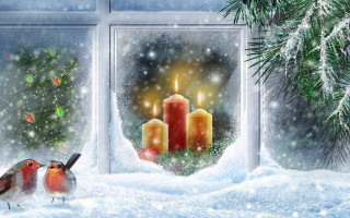 Birds window candles christmas tree 2 - candle free wallpaper