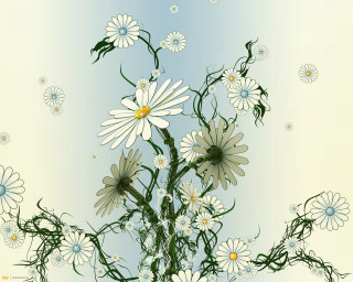 Daisies vase water droplets blue - a painting of a bunch free wallpaper