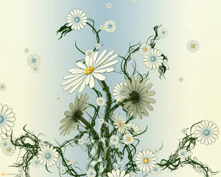 Daisies vase water droplets blue 3 - a painting of a bunch free wallpaper