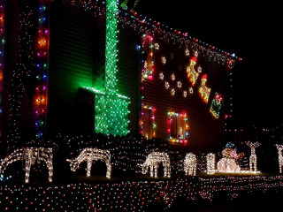Christmas lights elephants house night - ambient lighting free wallpaper