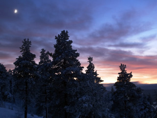 Sunset clouds trees foreground moon 7 - atmospheric lighting free wallpaper