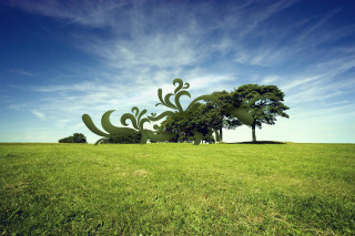 Field trees blue sky clouds 12 - green grass free wallpaper
