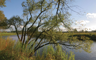 River trees grassy clouds park - a grassy area in the background free wallpaper