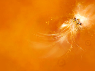 Yellow background swirly pattern black - the bottom of the image free wallpaper