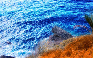 Ocean cliff palm tree blue 2 - constantine andreou free wallpaper
