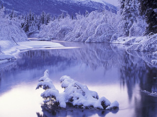 Lake snow trees mountain blue 4 - a lake free wallpaper