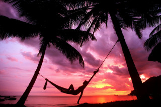 Hammock palm trees beach sunset 5 - a hammock free wallpaper