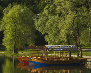 Boats lake forest trees grass 2 - top of a lake next free wallpaper for desktop