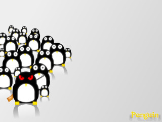 Penguins red eyes black white 4 - a group of penguins free wallpaper
