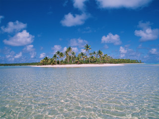 Small island palm trees ocean 19 - a small island free wallpaper for desktop