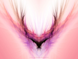 Pink purple abstract background bird - abstract background free wallpaper