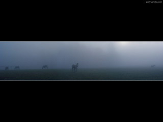 Horses foggy field sky black 2 - charles angrand free wallpaper