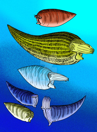 Fish group swimming ocean together - an illustration of free wallpaper for mobile