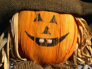 Pumpkin hat scarf head neck - top of its free wallpaper