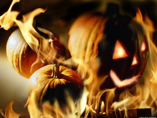 Fire burning pumpkin jack o - dirk crabeth free wallpaper