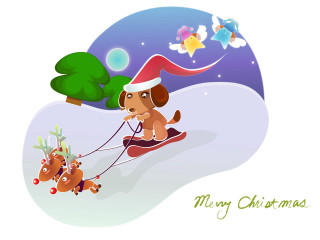 Dog pulling sled christmas tree 4 - a star free wallpaper