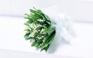 Bouquet flowers white surface ribbon 2 - the end free wallpaper for desktop