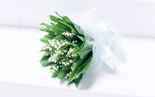 Bouquet flowers table white background - a white ribbon free wallpaper