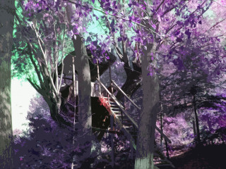 Man forest stairs treehouse ladder - a painting of a man free wallpaper