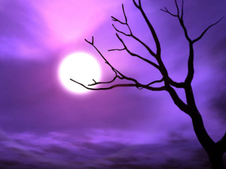 Tree no leaves purple sky 2 - betye saar free wallpaper for desktop
