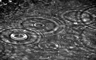 Rain drops water circles black - a surface of water free wallpaper
