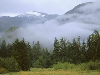 Mountain fog clouds trees field - twin peak free wallpaper for desktop