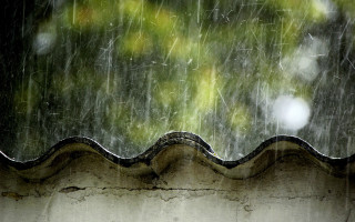 Rain storm roof tree background 2 - the window free wallpaper