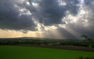 Field clouds sky trees foreground 3 - crepuscular free wallpaper for desktop