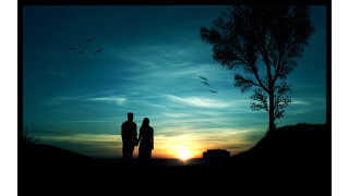 Couple tree sunset birds flying - dreamlike free wallpaper for desktop