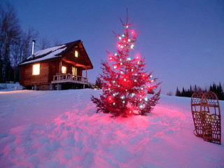 Small christmas tree snow house - folk art free wallpaper