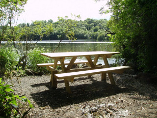 Picnic table lake shore forest - medium free wallpaper
