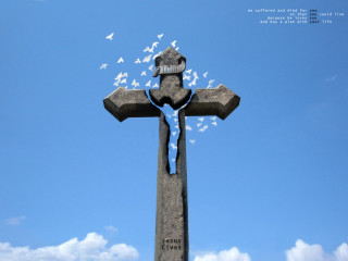 Cross birds flying sunny day - a sunny day free wallpaper