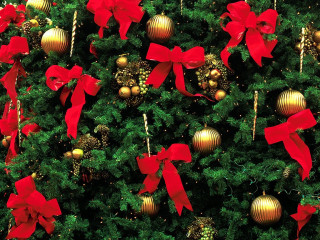 Christmas tree red bows gold - ornamental free wallpaper for desktop