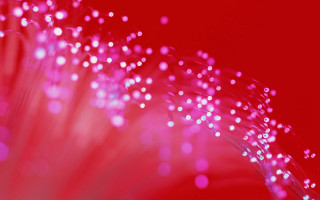 Pink flower petal dots red - gutai group free wallpaper